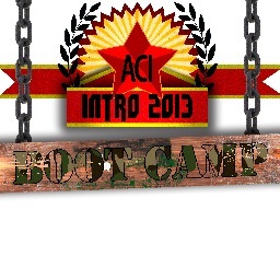 ACI intro 2013