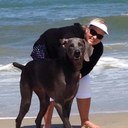 Laurie Cramer - @lauriecramer - Twitter