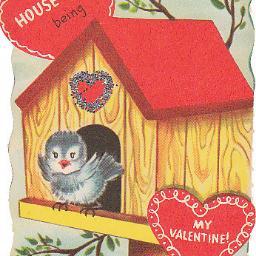 Love blogging at View from the Birdhouse, selling vintage children's books & ephemera, pet rescue, dogs, cats, reading, vegetarian cooking, retro pop culture.