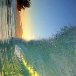 Spirit_Surfer's profile picture. Surfer, Spiritnaut/psychonaut, LOL addict, explorer of the Great Mystery, student of Life & endeavoring Love philanthropist