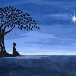 JLanglois2's profile picture. Librarian, Bowler, Humanist