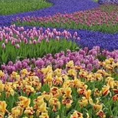 None can love freedom heartily, but good men; the rest love not freedom, but licence.-John Milton