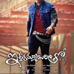 abhi lion
