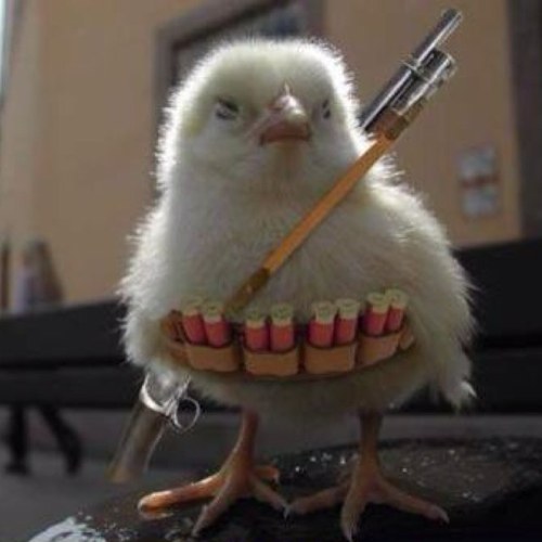 parencourt3's profile picture. Fidèle serviteur de @chris_vanouu ! Follow le, ses tweets c'est de la bombe ❤