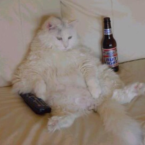 miskin_insan's profile picture. 