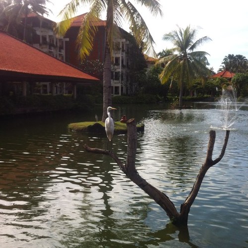 noorzahmed's profile picture. 