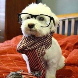 lesbianproblema's profile picture. oh, I was just admiring her...shoes.