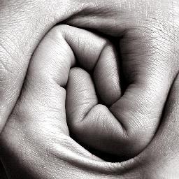 Fisiovera's profile picture. 