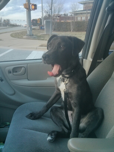 apsheridlotp's profile picture. I’ve never understood pity and self-pity as an emotion. We have a finite amount of time. Whether short or long, it doesn’t matter. Life is to be lived. Pausch