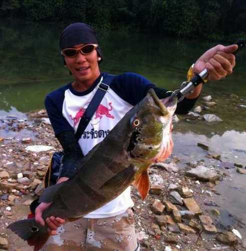 jacklim85's profile picture. dun mess wif mi!