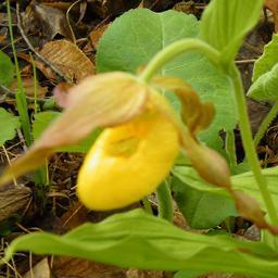 DoorCountyNorth's profile picture. 