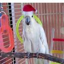 Gary Clute - @gpcvox1 - Twitter