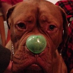 marc_manwin's profile picture. 