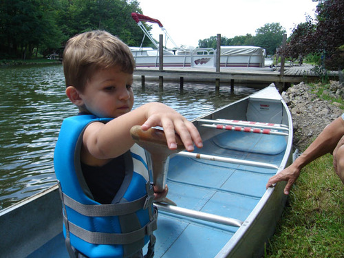 candlewood_lake's profile picture. 