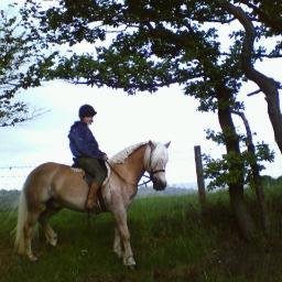 WExp_newsEd's profile picture. News editor for @WakeExpress series and @DewsReporter series. Proud dad.
News, @Boro and horses in varying order.