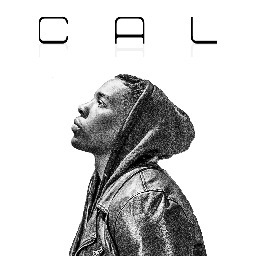 CAL_AIMG's profile picture. 