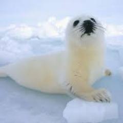 celiahayward2's profile picture. i support torquay united with my husband and 2 sons