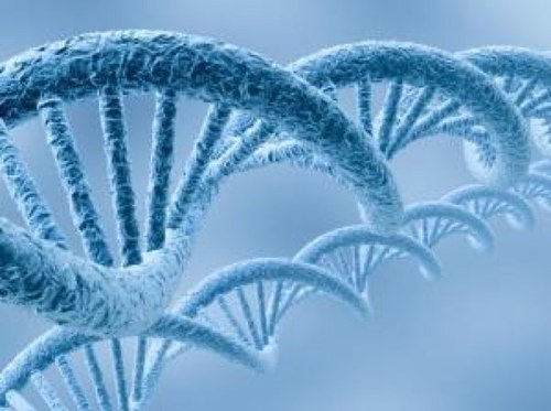 Retweeting the best on biotech, medicine, bioethics, medical ethics, biolaw & medical law