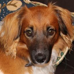 PeterGreen523's profile picture. Real Estate Entrepreneur. HMO Investor. Consultant