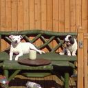 Gary Ricketts  - @galrick63 - Twitter