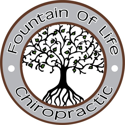 Husband, father, chiropractor, lover of LIFE!