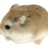 トム平のアイコン