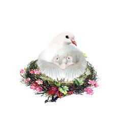 srcnes's profile picture. Социально-реабилитационный Центр для несовершеннолетних,Нижегородская обл., р.п.Выездное, ул.Пушкина,106. тел 8-83147-5-14-21