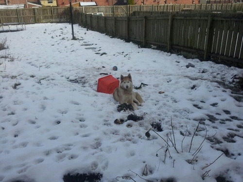 staceeeyg's profile picture. 