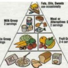 Keeping you updated with Health, Food, and Excercise
