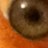 dwb_vox's profile image