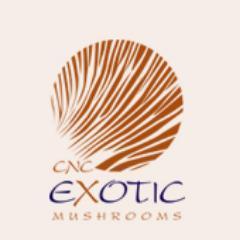 producer substrate exotic mushrooms; shiitake, nameko, eryngii, oyster, oesterzwammen organic certified
Bert Rademakers