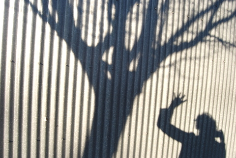 blakedruckerAIA's profile picture. Architect, Revit User, Practice of Architecture fanatic, mentor, design accessible and sustainable laboratories