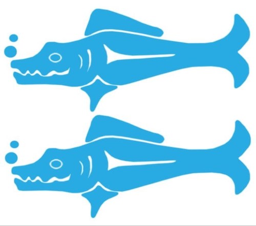 neu barracudas neu barracudas