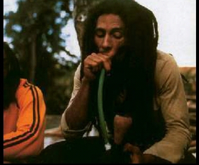 Si te gusta la marihuana esta es tu cuenta,sigueme y disfruta de las fotos de marihuana.Cualquier pregunta la respondere.