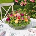 Alex Diel - @AdleX2000 - Twitter