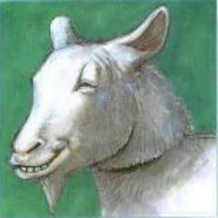 ayy lmao

Cuenta inactiva, archivo de lo gilipollas que he llegado a ser.