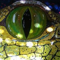 Wild About..𓅪 (@wildaboutsydney) 's Twitter Profile