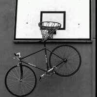 Livia Borsetti (@borsettilivia) 's Twitter Profile