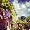 Tania Duncan - @taniajersey - Twitter