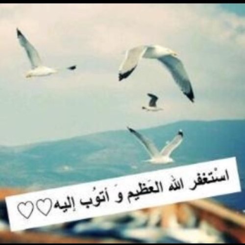 حساب صدقه جاريه لي ولوالدي وجدتاي  #عبدالله_العبدالكريم #علي_ابانمي #بندر_ابانمي رحمهم الله وجميع موتى المسلمين