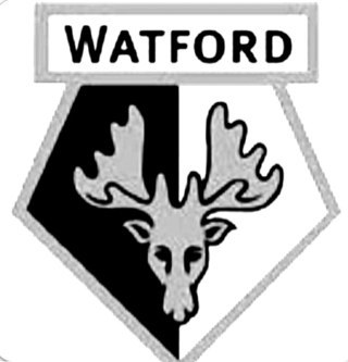 The latest news and views on watford football club run by a season ticket holder,