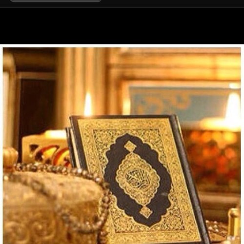 مغرد على غصن الشعر 