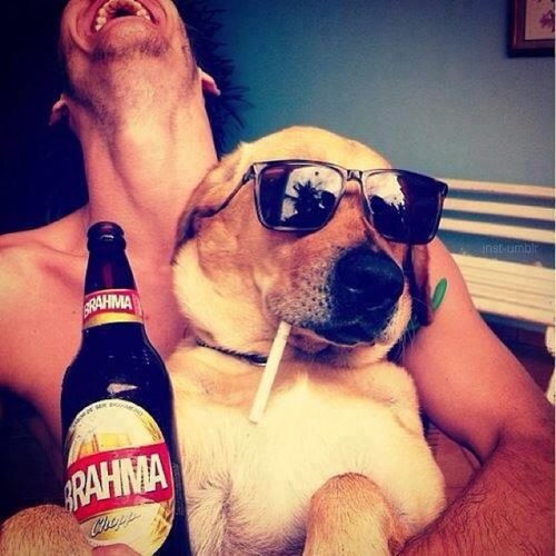 ovunctekin's profile picture. 👼🏻 in LoVe 👼🏻 -  - 🚴🏻‍♂️ Cycling 🚵🏻‍♂️ - 🔪 Gourmet 🥢- 🌎 Traveller ✈️ - ⛵️Sailor⚓️ TESLA OWNER 🚙