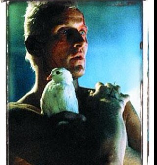 BookofChimeras's profile picture. Ciborg melancólico, nictófilo y metanoico.