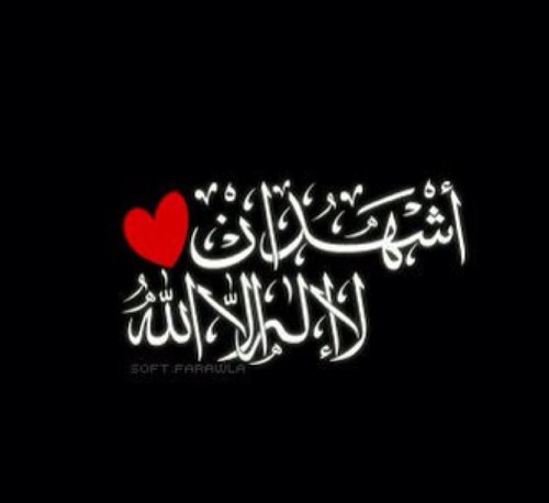 SO00SY's profile picture. 