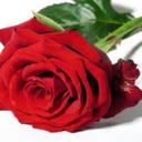 Ross  Hernández Ruiz - @HernndezRoss - Twitter