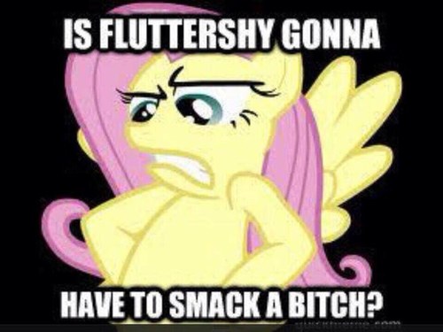 BITCH IM FABULOUS! ||#slap||Ok, ok, im Janey. Writer of @Jane_Lonely_ I BE BALLIN MY BITCHES! And no,Fluttershy wont have to smack a bitch..BUT JANEY WILL!