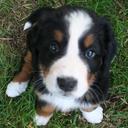 Ian McGuinness - @dasaintly1 - Twitter