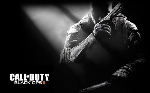 call of duty : )