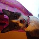 Nancy Evelyn Solis - @Kittymoxxa - Twitter